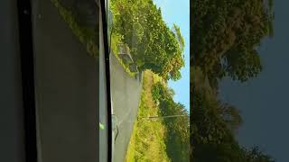 Ponmudi Hill station latest trivandrumshorts shortvideo travel trendingshorts [upl. by Notslar841]