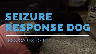 Seizure Response Dog Feature Jessicas Story [upl. by Eenahpets823]