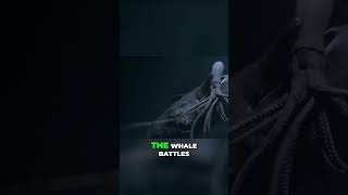 Sperm Whale vs Giant Squid The Epic Clash of the Deep Sea [upl. by Flann546]