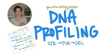 DNA Profiling  STRs to PCR to Gel electrophoresis Solve paternity and forensics gels IB biology [upl. by Inwat]