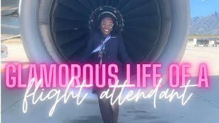 Glamorous Life of a Flight Attendant  Flight Attendant Vlog [upl. by Morville]