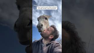 A man and his donkeys heartwarming friendship shorts [upl. by Narud]