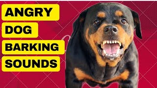 Best Videos of Dogs Barking Really Loud 🐶♥️ very Funny Dogs Barking Comp [upl. by Mitran]