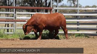 Lot 27 Locarno Saxon [upl. by Annawal]