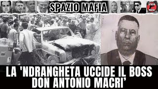 La Ndrangheta calabrese uccide il boss Don Antonio Macrì Intervista inedita ad un testimone [upl. by Nnaharas62]