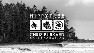 HippyTree  Chris Burkard Collaboration [upl. by Meade61]