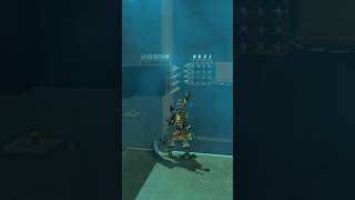 Shrine Shortcut The Legend of Zelda Breath of the Wild [upl. by Eerahc]