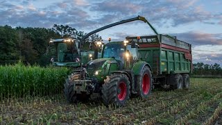 Ensilage de maïs  Fendt Katana 10 rangs  Semis de Ray grass  ETA Poupard et Cobérac [upl. by Shear152]