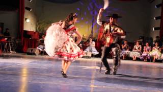 3° Cueca Campeones de arica 2014 [upl. by Fredericka726]