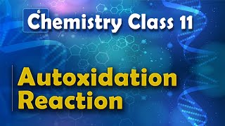 Autoxidation Reaction  Redox Reaction  Chemistry Class 11 [upl. by Silera]