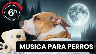 🐶💤 6 horas de MÚSICA RELAJANTE para PERROS Ansiosos  ¡Prueba y Verás [upl. by Coleen]