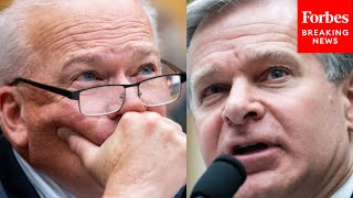 Have You Been Able To Interview His Parents Fitzgerald Grills Wray On Trump Shooting Probe [upl. by Hctub]