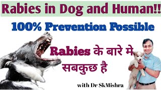 Rabies in dog and human Exhaustive Coverage by Dr Sk Mishra [upl. by Tena50]