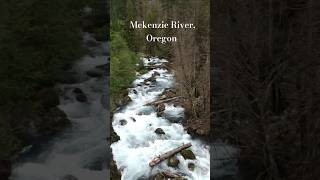 Mckenzie River Oregon oregon pnw river scenery naturelovers usa [upl. by Alastair]