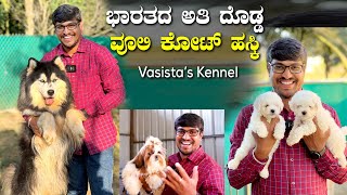 Indias Biggest Wooly Coat Husky  Vasistas Kennel  Best Husky Puppies At Tumkur Kannada Vlogs [upl. by Nial]