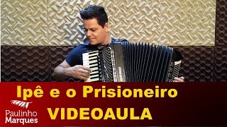 ipê e o prisioneiro  VIDEOAULA  Acordeon  Paulinho Marques [upl. by Olocin]