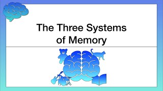 ALevel Psychology AQA Research into Coding in Memory [upl. by Nanam]