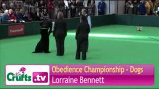 Crufts 2011 obedience championship [upl. by Cissy258]