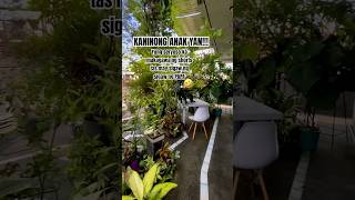 Kaya madalas nilalagyan koh na lang bg song 👌🤣 shorts shortvideo funny garden relaxing [upl. by Cila]