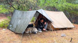 Camping in Heavy Rain and Rainstorm  Overnight Rain Camping with My Dog [upl. by Aicrop]