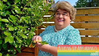 Keeping Up Appearances  Parody  Homage  Spoof by The Isolation Creations [upl. by Naes]