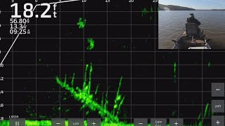 Crappie Fishing with Livescope Plus FullScreen Livescope Throughout Lake Darbonne  Trip 3 [upl. by Koerlin]