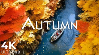 Enchanting Autumn Forests with Beautiful Piano Music🍁4K Autumn Ambience amp Fall Foliage 46 [upl. by Adlanor]