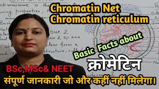 Chromatin Structure Euchromatin Heterochromatin amp Functionsक्रोमेटिन की जानकारी।NEETBScMScSTD [upl. by Nemraciram]