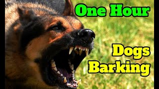 Dogs Barking for One Hour  barking sounds for 60 minutes of different breeds of dogs [upl. by Harald]