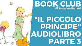 Il piccolo principe  Audiolibro spiegato parte 3 [upl. by Otir]