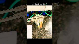 Biochemistry lab 🧪mbbs 1st yearshortsvideo medicalcollege aimmmcr [upl. by Grewitz]