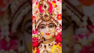 Radhe Radhe Radhe Bol Mana Dhan Ka Kya PataRadhakrishna Devoted ShortVidoe premanand ji maharaj [upl. by Andy]