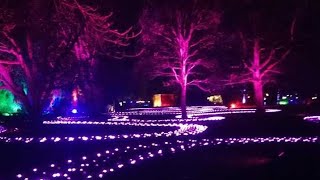 🇬🇧CHRISTMAS TRAIL AT DUNHAM MASSEY  MANCHESTER UNITED KINGDOM  CHRISTMAS LIGHTS 🇬🇧 [upl. by Elleryt104]