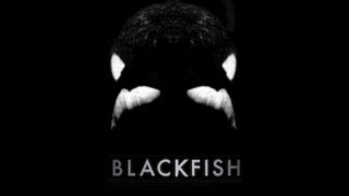 Blackfish  Jeff Beal [upl. by Lerraj]