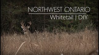 Ontario Whitetail Hunt  DIY  Public Land Deer Hunting [upl. by Niryt860]