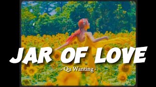 Vietsub • Lyrics  Jar of Love  曲婉婷 Qu Wanting [upl. by Yattirb]