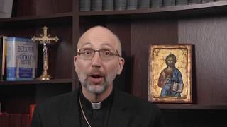 Bishop Doerfler  The Solemnity of the Assumption of the Blessed Virgin Mary [upl. by Amir]