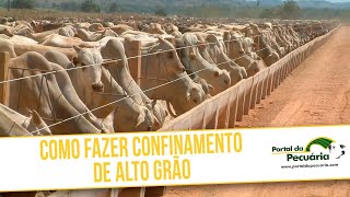 Como fazer confinamento de alto grão [upl. by Kassandra]