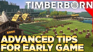 Timberborn  Advanced Tips for Early Game [upl. by Berardo]