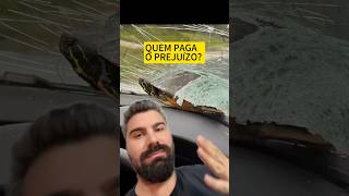 Quem paga o prejuízo 🐢🚙 [upl. by Emyam]