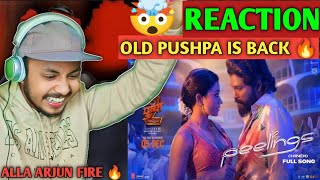 PEELINGS Song Video  Hindi  Pushpa 2 The Rule  Allu Arjun  Rashmika M  DSP  reaction [upl. by Anas338]