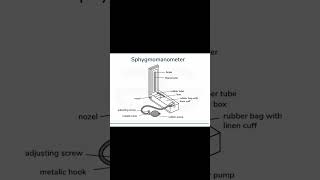 Sphygmomanometer l Exit exam preparation l Blood pressure measurement blood pharmacy [upl. by Nawoj]