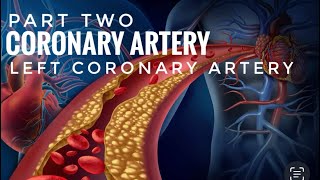 BLOOD SUPPLY OF HEARTPart 2  LEFT CORONARY ARTERY [upl. by Sirronal]