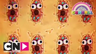 Llega la bacteria  El asombroso mundo de Gumball  Cartoon Network [upl. by Aienahs270]