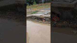 Hard Work With Mini Tool Unclogged Culvert unclog cloggeddrain drain shorts [upl. by Gwenni]