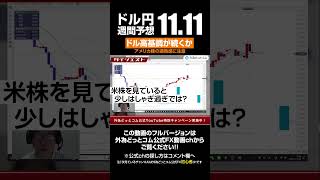 ドル円はドル高基調が続くか｜アメリカ株の過熱感に注意 ドル円 fx shorts（ダイジェスト）20241111（月）井上義教【FX為替】外為ドキッ [upl. by Lehcir]