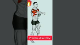 Punches Exercise shortvideo [upl. by Kina]