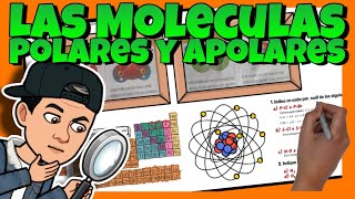 🔎 Cómo IDENTIFICAR y DIFERENCIAR moléculas POLARES y APOLARES [upl. by Revkah124]