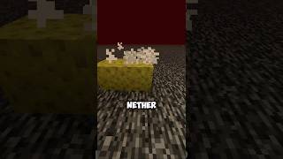 Did you know this about sponges in Minecraft [upl. by Butch]