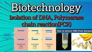 Polymerase chain reaction PCR l isolation of DNA biology [upl. by Julienne]